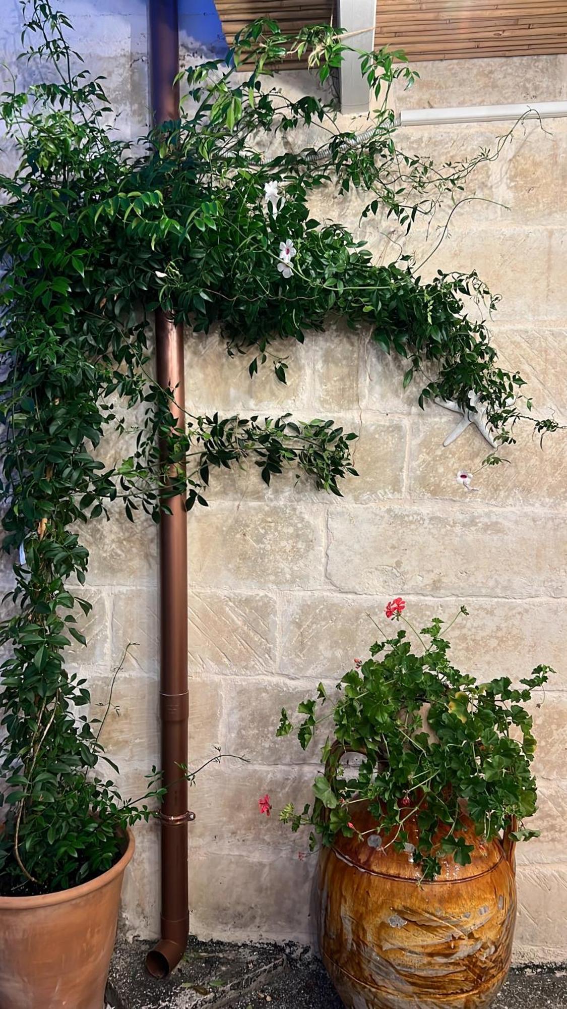 Suite Battisti 7 Lecce Extérieur photo