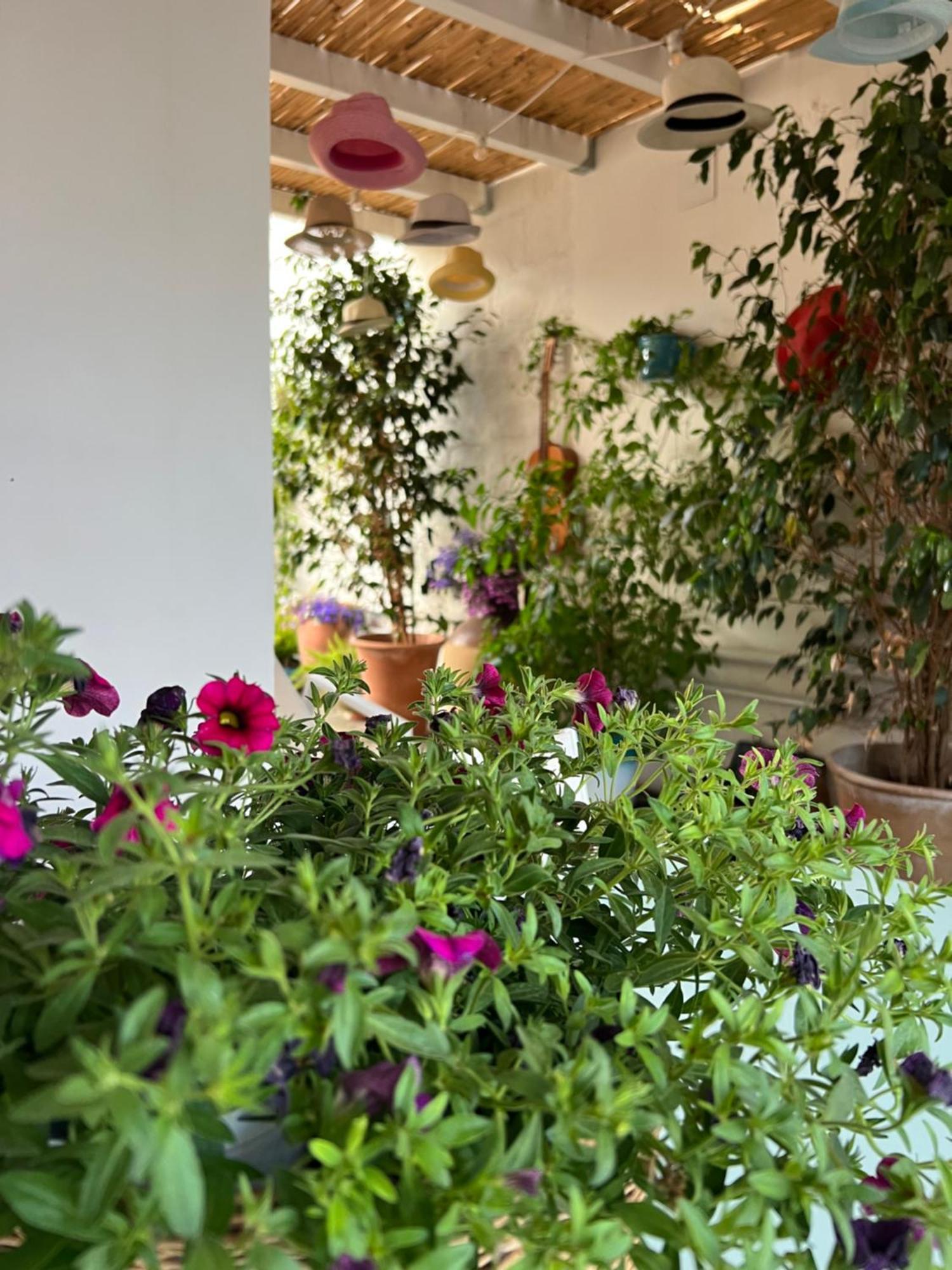 Suite Battisti 7 Lecce Extérieur photo